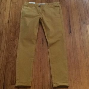 Mustard yellow cotton mid rise pants. Unisex